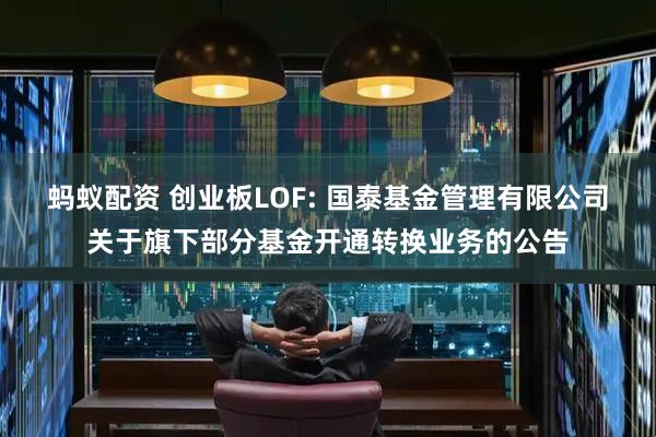 蚂蚁配资 创业板LOF: 国泰基金管理有限公司关于旗下部分基金开通转换业务的公告