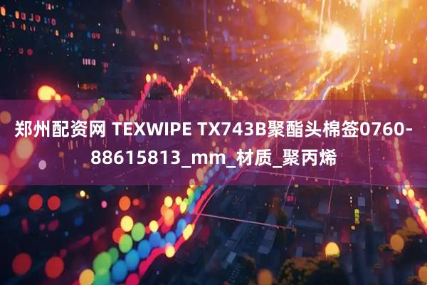 郑州配资网 TEXWIPE TX743B聚酯头棉签0760-88615813_mm_材质_聚丙烯