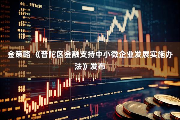 金策略 《普陀区金融支持中小微企业发展实施办法》发布