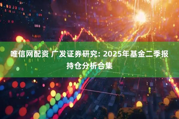 唯信网配资 广发证券研究: 2025年基金二季报持仓分析合集